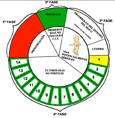 métodos naturales fertilidad farmacia de la rambla